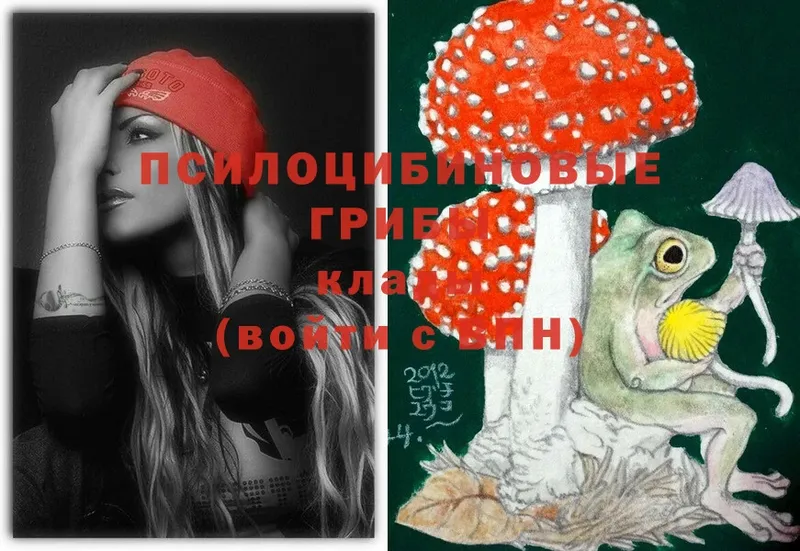 Галлюциногенные грибы Magic Shrooms  Ярцево 